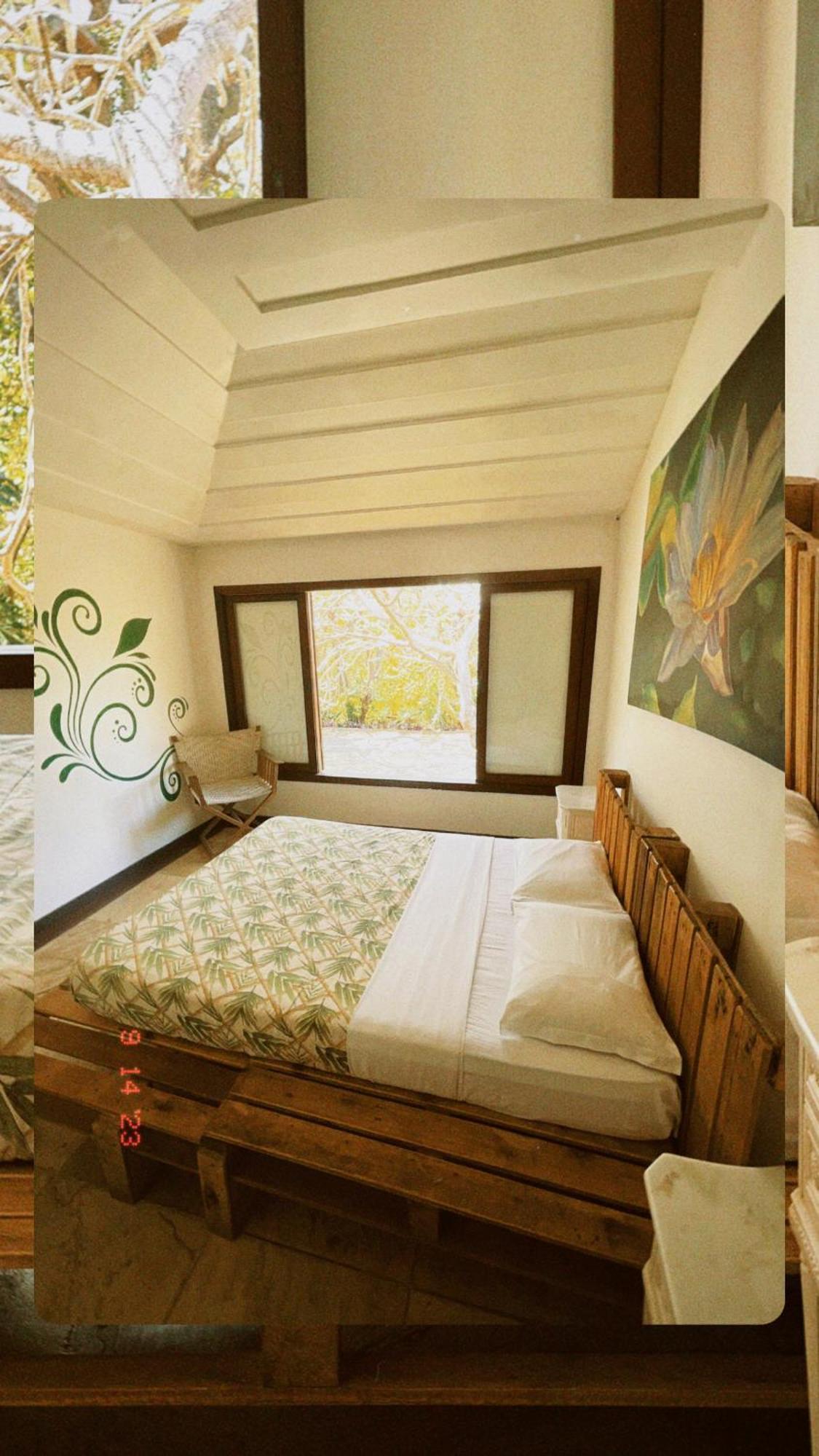 The Eco Palace Hostel Búzios エクステリア 写真